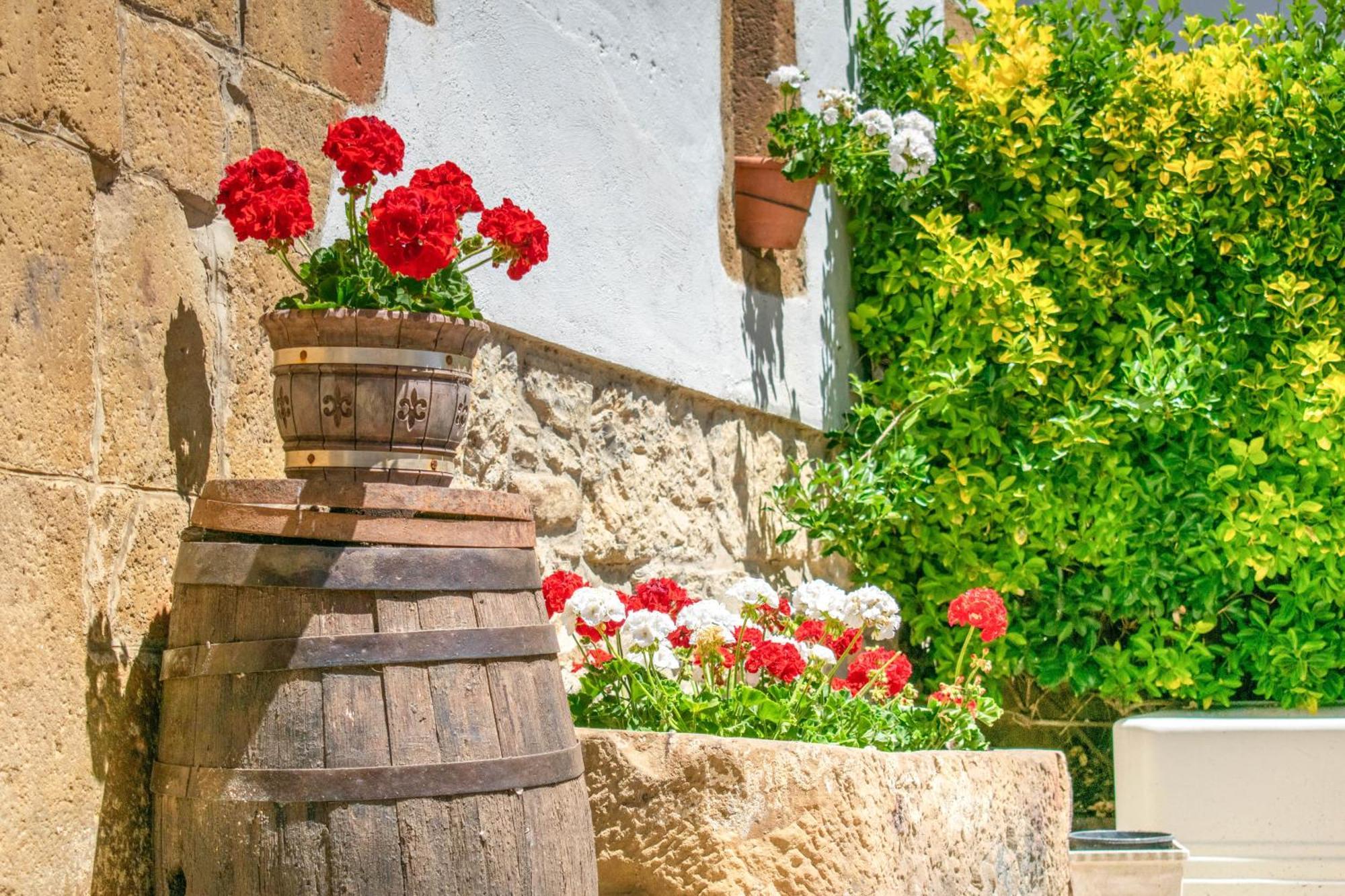 Casa Rural Arotzenia, Hogar Rustico En Pleno Valle De La Ulzama Lizaso Bagian luar foto